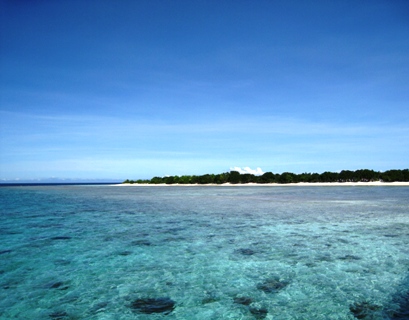 scene from jetty scene from jetty