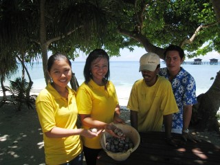 turtle eggs turtle eggs