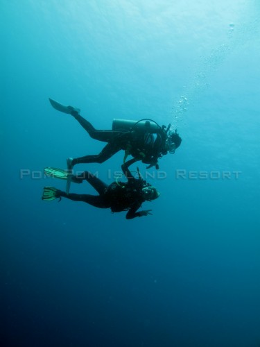 Setsuko & Michelle Setsuko & Michelle