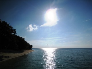 morning pom pom 1 morning pom pom 1