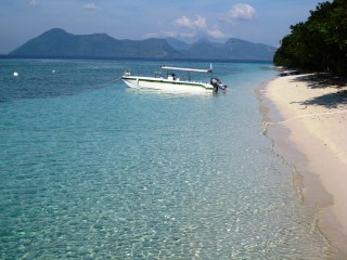 morning pom pom 2 morning pom pom 2