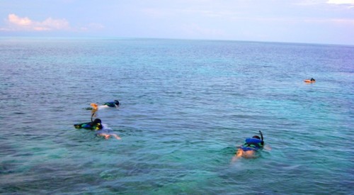 snorkeling snorkeling