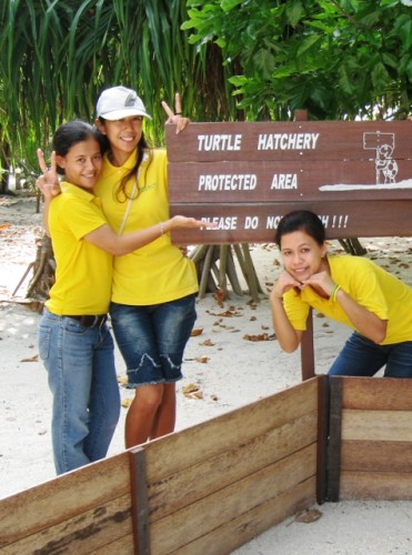 * Turtle Hatchey is ready !!!