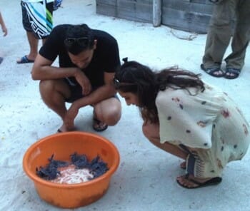 Mr. & Mrs Patel from USA watching the new born baby turtle.