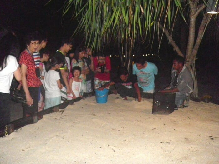 Transferring eggs for Conservation