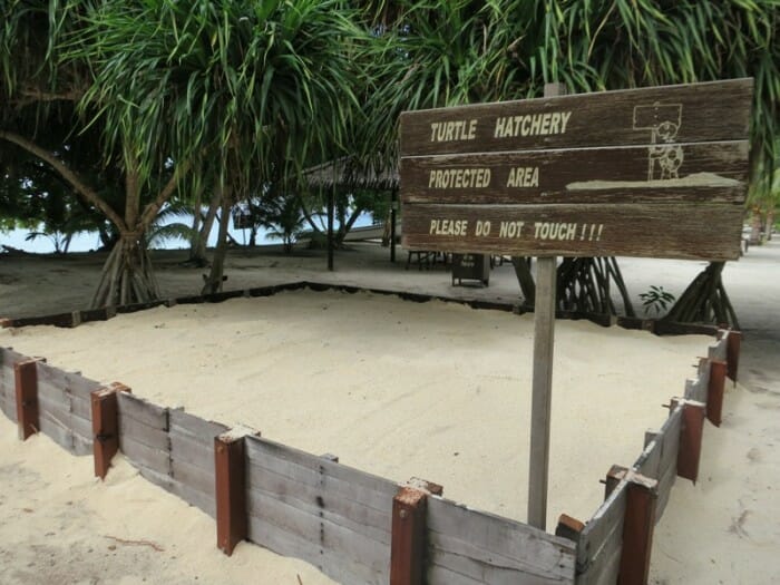 Hatchery 2013 is ready !