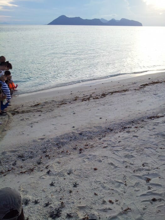 A race towards the Celebes Sea. A race towards the Celebes Sea.