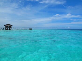 I arrive for my first day on the job to such a beautiful setting!