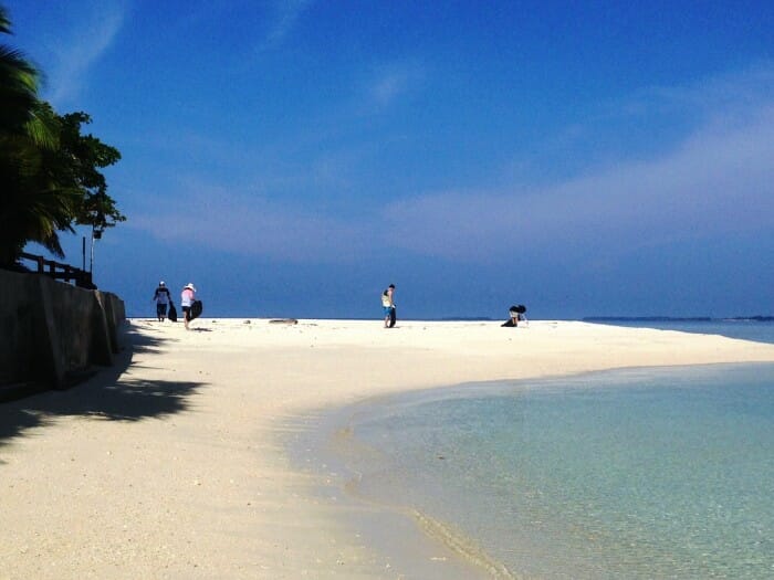photo 2 (2)