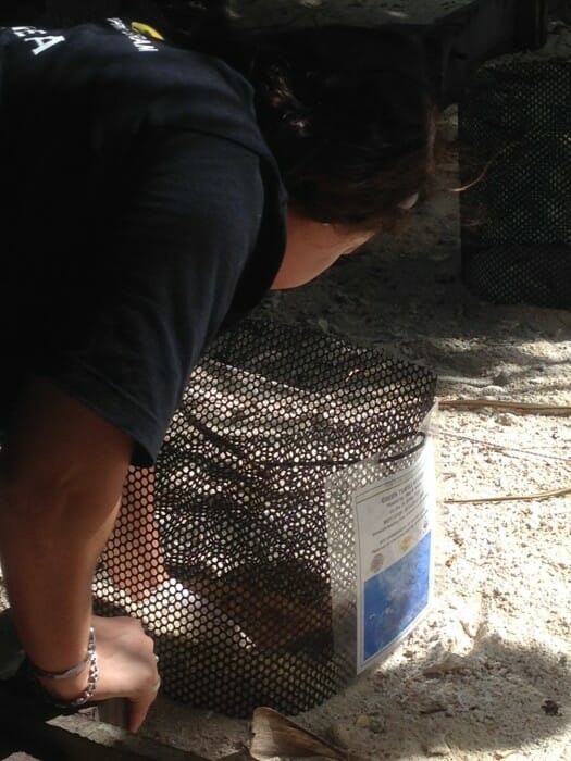 photo 2 (2)