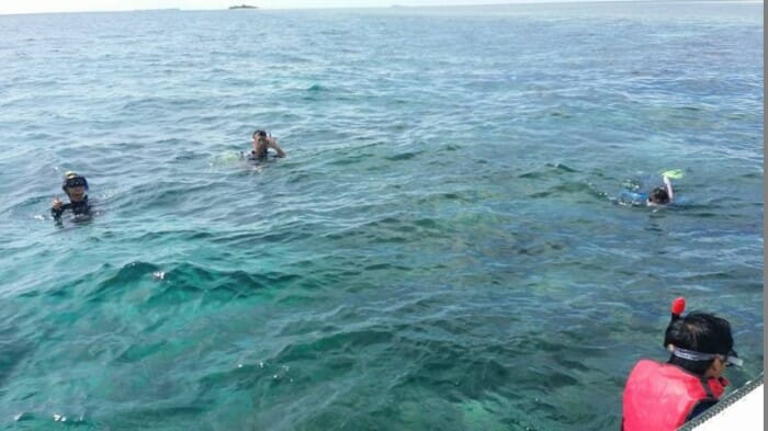 20141121_091219 (FILEminimizer)